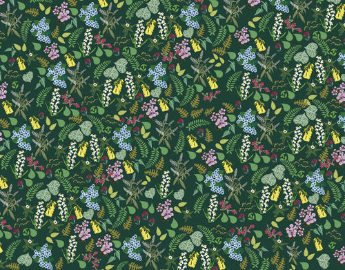 Abel Tasman Wallpaper Mural in Green
