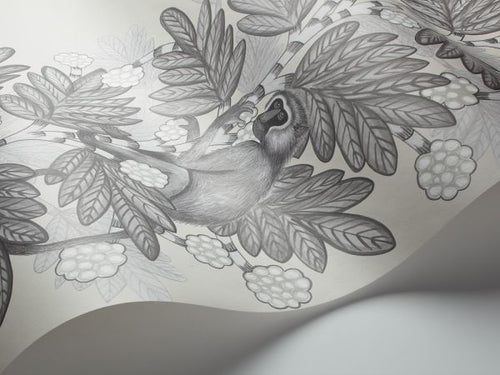Acacia Monkey Wallpaper - Grey/White