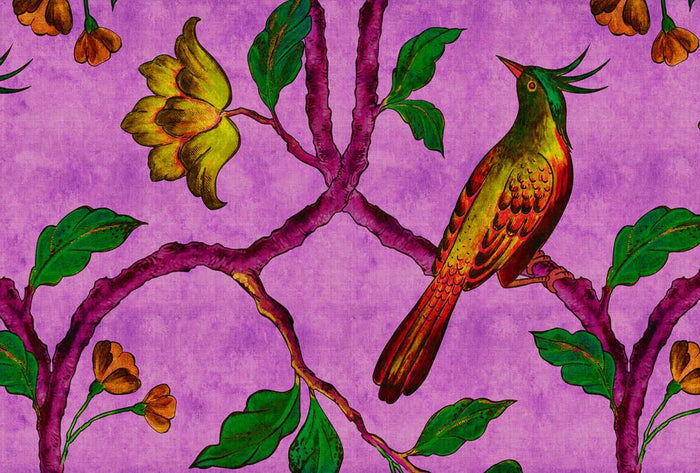 Adarna Bird - Magenta - Custom Sized Wallpaper Mural (per m2)
