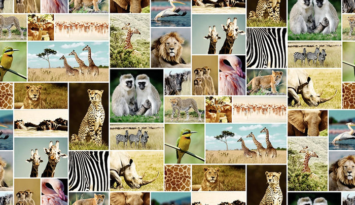 Africa - Custom Sized Wallpaper Mural (per m2)