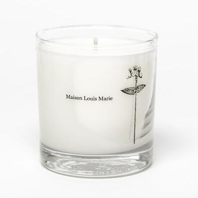 Candle in a clear glass jar with 'Maison Louis Marie' branding on a white background