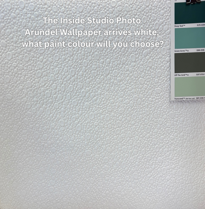 Arundel Bubble Anaglypta Wallpaper - Paintable