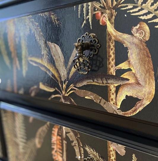 Ateles Spider Monkey Wallpaper – Black