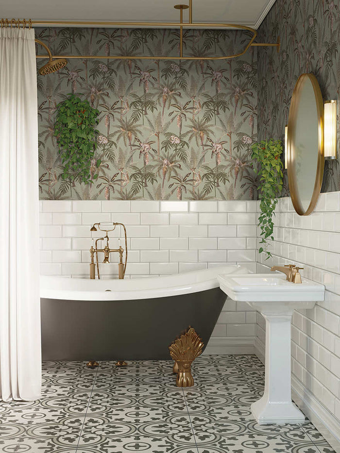 Ateles Spider Monkey wallpaper in sage on a feature wall