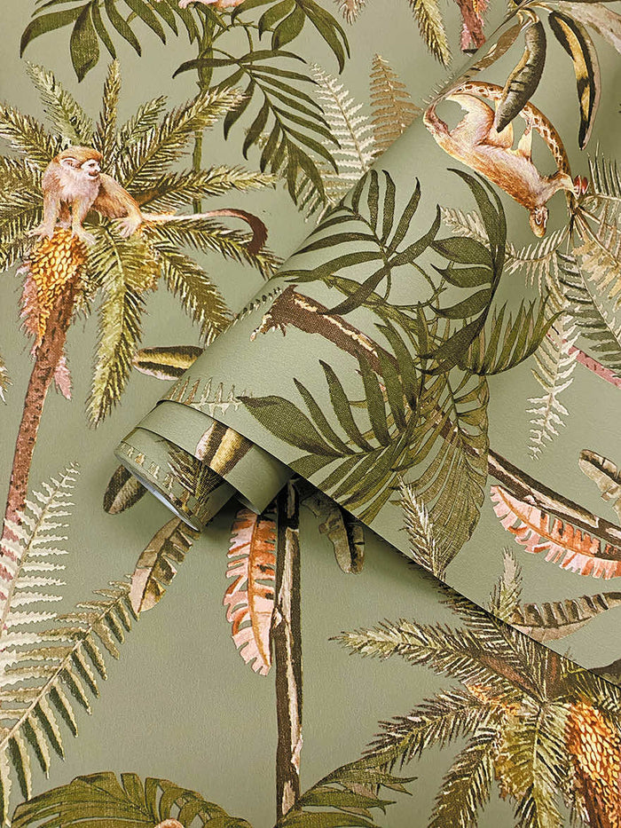 Roll of Ateles Spider Monkey sage wallpaper