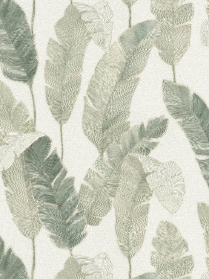 Bali Fronds Vinyl Wallpaper - Green