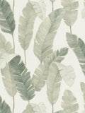 Bali Fronds Vinyl Wallpaper - Green
