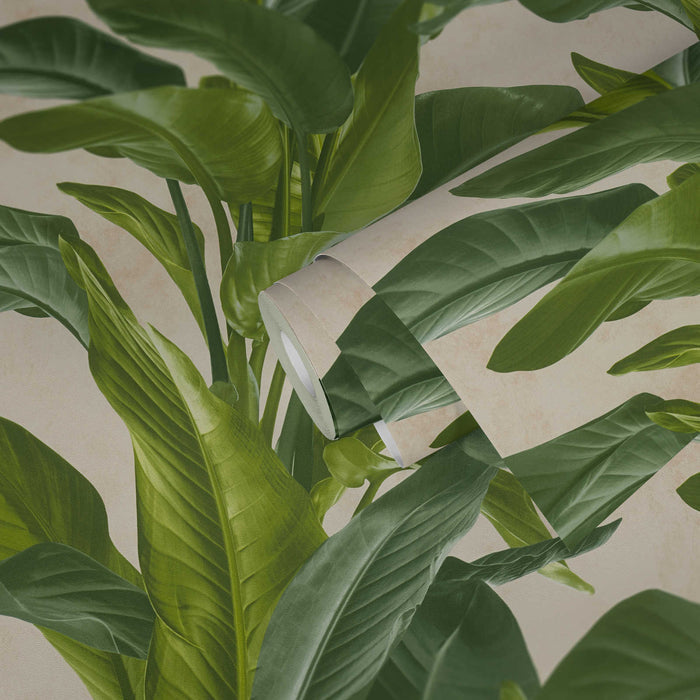 Banana Tropical Wallpaper - Cream/Green