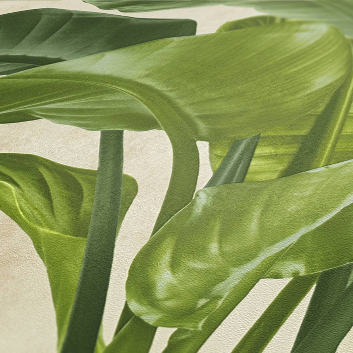 Banana Tropical Wallpaper - Cream/Green