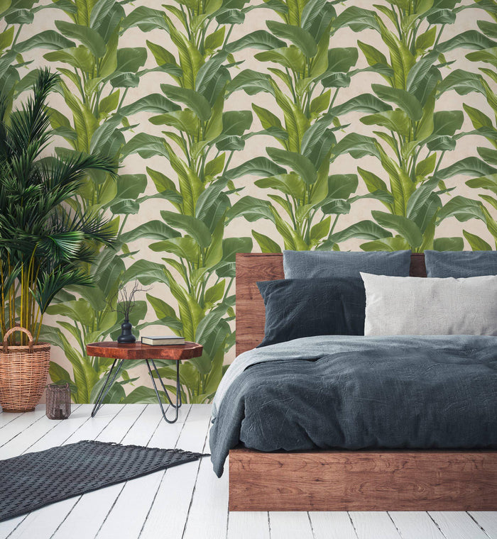 Banana Tropical Wallpaper - Cream/Green