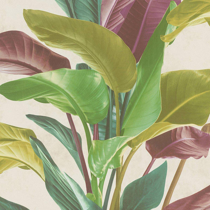 Banana Tropical Wallpaper - Multicolored