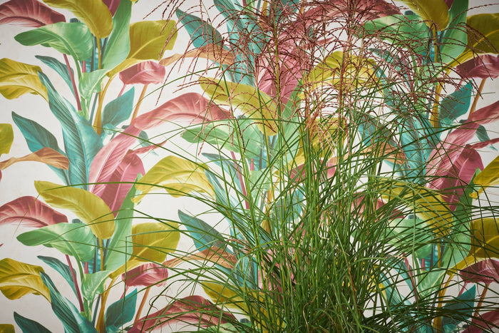Banana Tropical Wallpaper - Multicolored