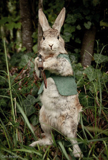 Banging Bunny - Fine Art Print