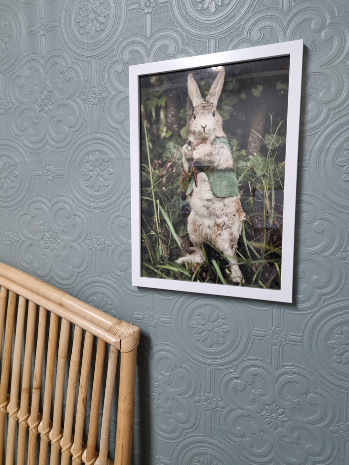 Banging Bunny - Fine Art Print