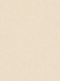 Barcelona Coordinates  - Beige/Creme