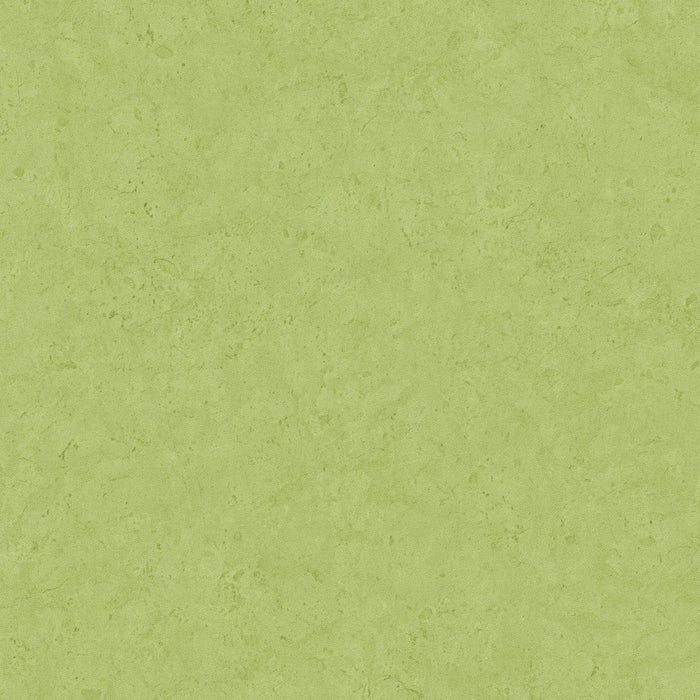 Barcelona Coordinates - Green - Discontinuing