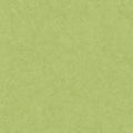 Barcelona Coordinates - Green - Discontinuing