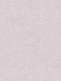 Barcelona Coordinates  - Lighter Grey