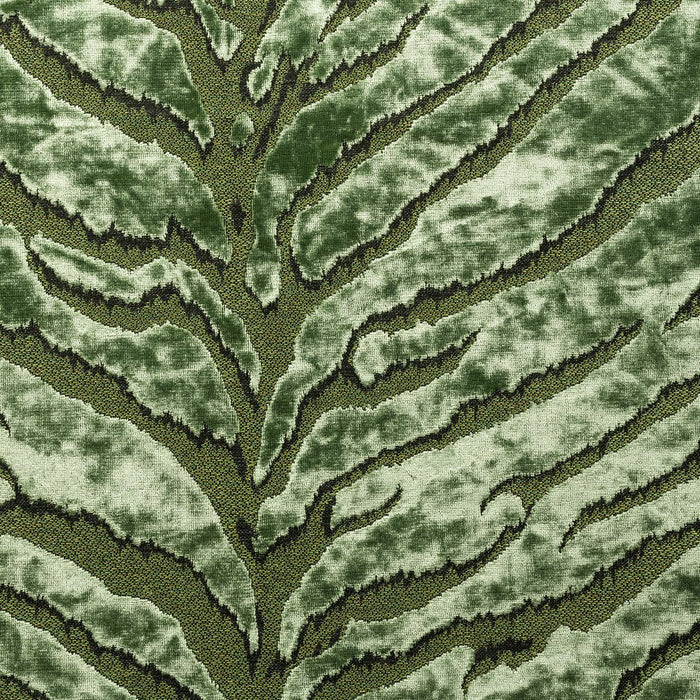 Bengal Tiger - Fabric