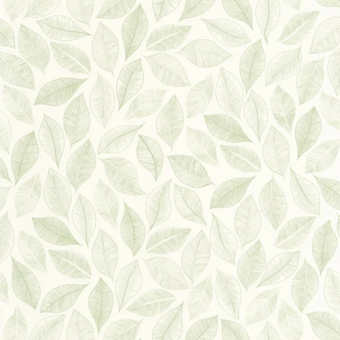 Bliss Wallpaper - Blanc vert mousse