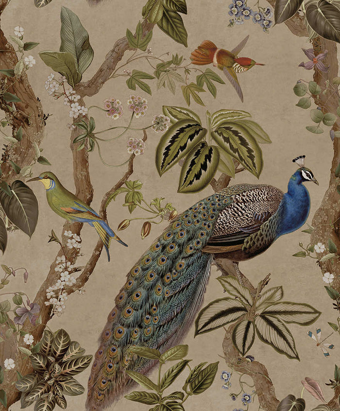 Taupe cassia peacock wallpaper with a peacock among blossoming branches and songbirds — flat pattern detail