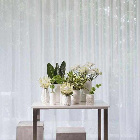 Cavalier by James Dunlop Essentials NZ-Curtain Fabric