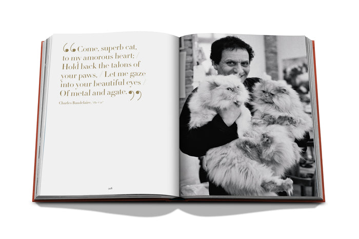 Chic Cats
