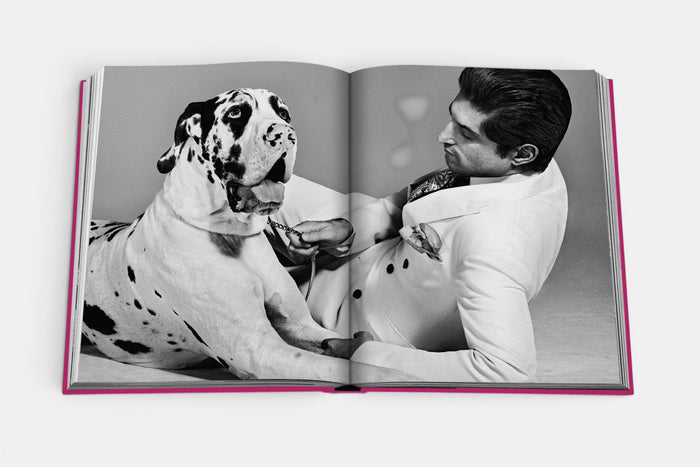 Chic Dogs