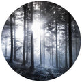 Circular Sunshine in the Woods Mural