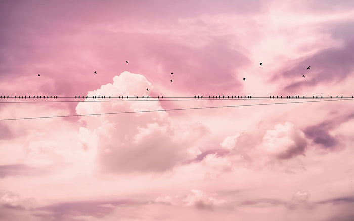 Cloud Wire - Custom Sized Wallpaper Mural (per m2)