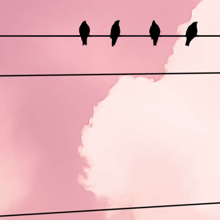 Cloud Wire - Custom Sized Wallpaper Mural (per m2)