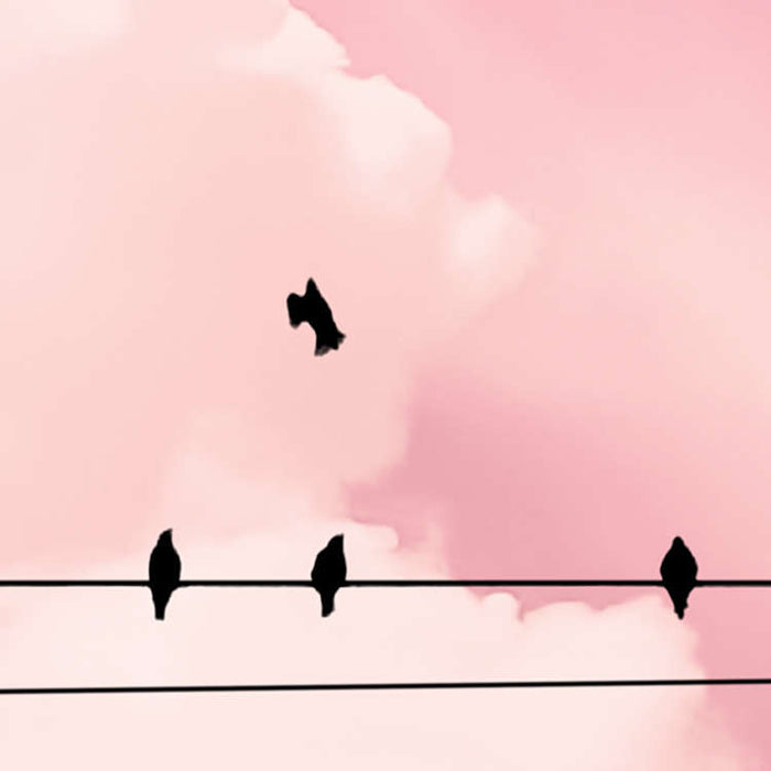 Cloud Wire - Custom Sized Wallpaper Mural (per m2)