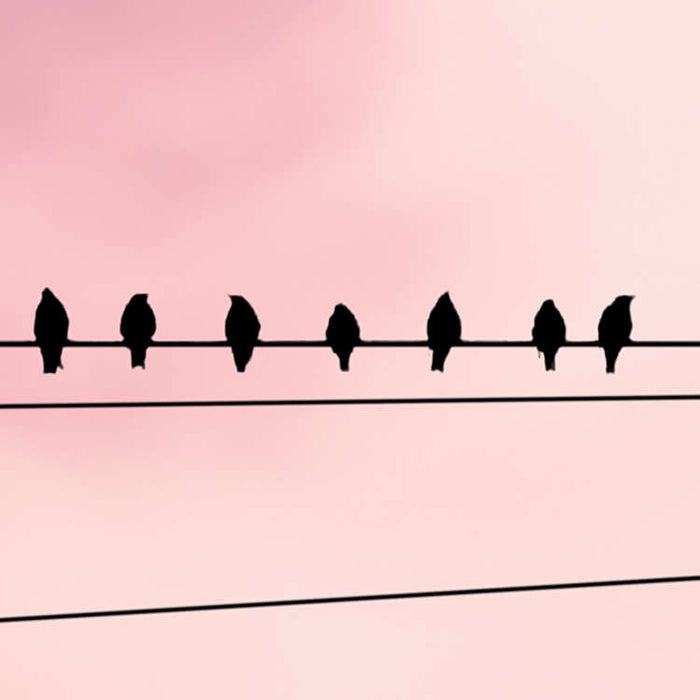 Cloud Wire - Custom Sized Wallpaper Mural (per m2)