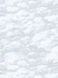 Cloudy Cloud Wallpaper - White