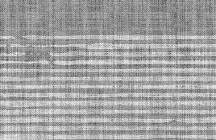 Cloudy Day  - Grey - Custom Sized Wallpaper Mural (per m2)