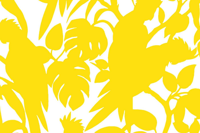 Canary