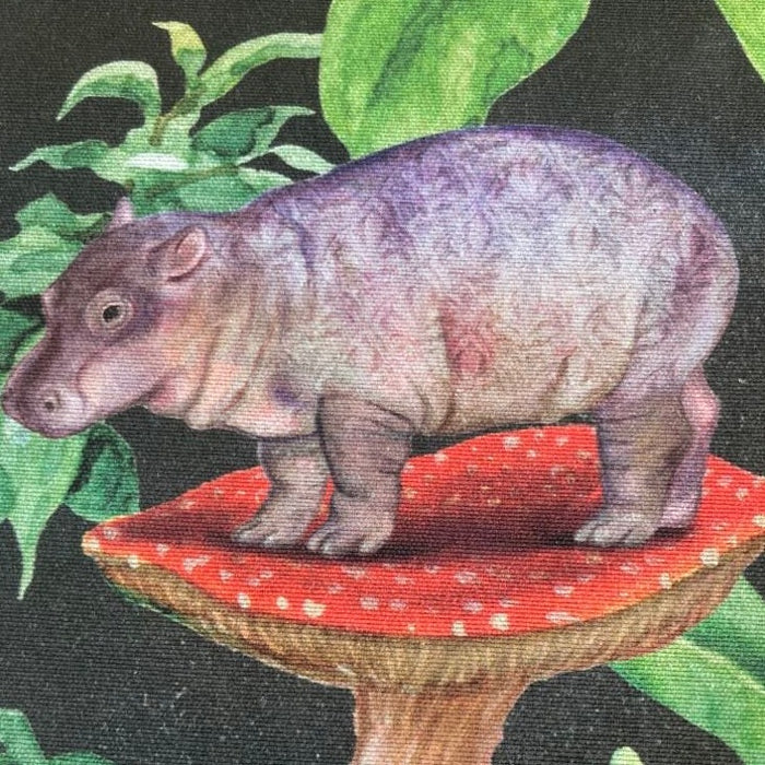 Hippo