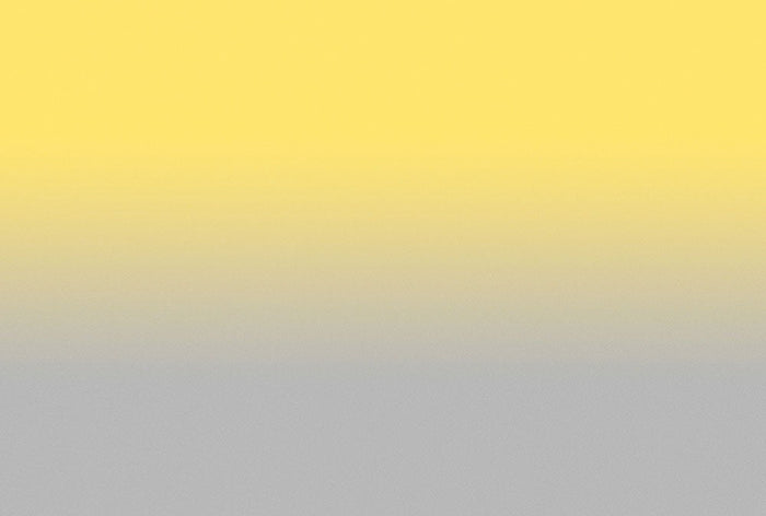 Colour Studio Ombre  - Yellow/Grey - Custom Sized Wallpaper Mural (per m2)