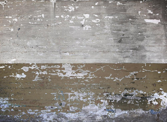 Concrete Coated Mural Wallpaper