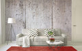 Concrete Wall Mural - Concrete 1 Wallpaper