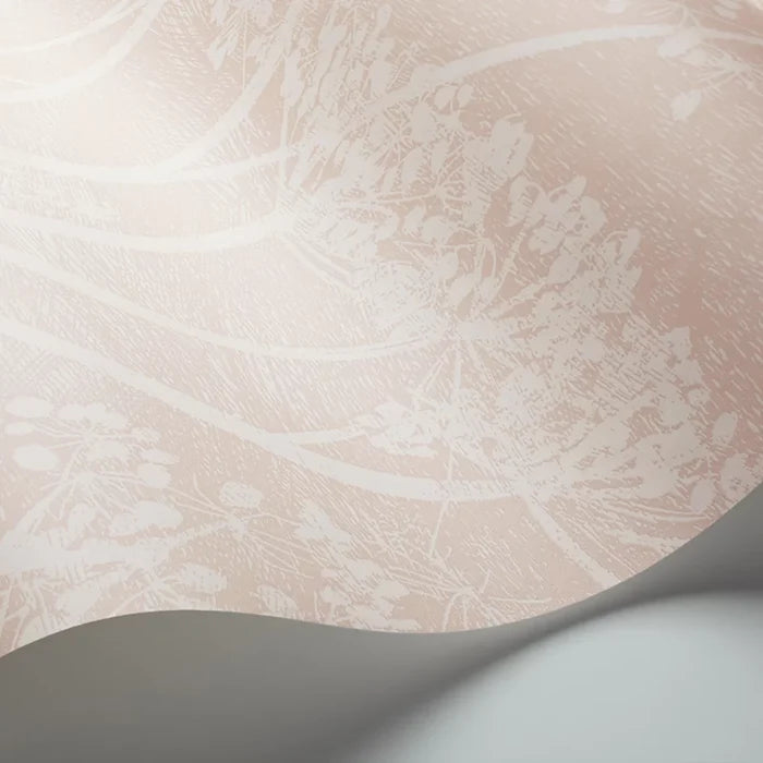 Cow Parsley Wallpaper - Ballet Slipper Pink