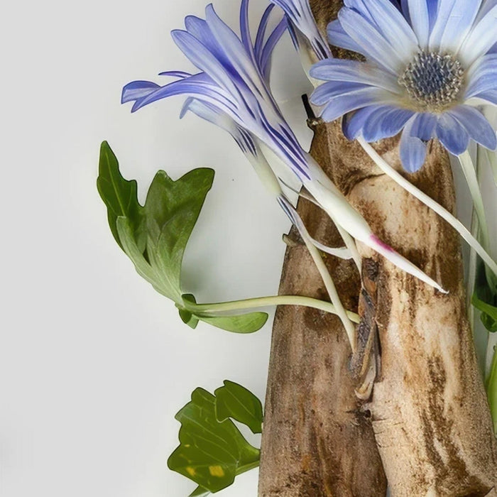 Shop Rescue Spa D7 Serum botanical ingredients featuring blue flowers and woody roots on a clean white background.