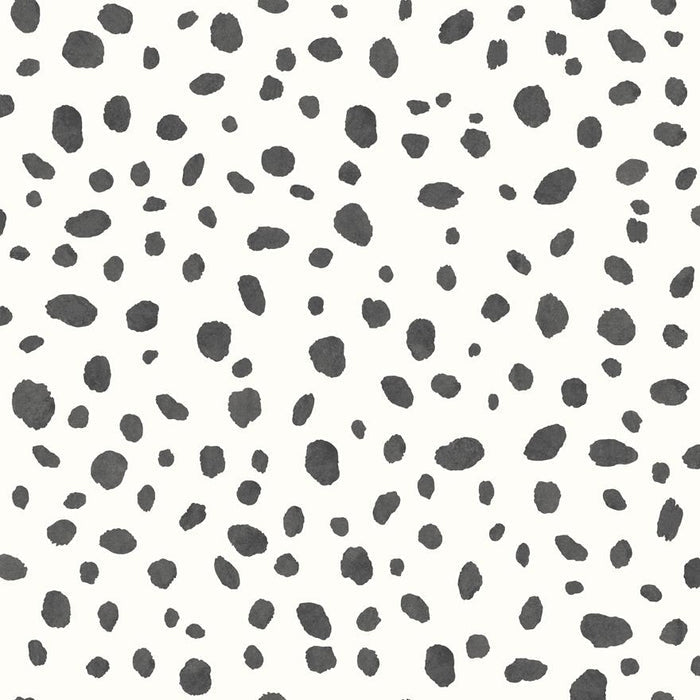 Dalmatian Spots Wallpaper - 2 Colours NZ-Wallpaper