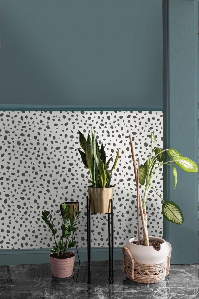 Dalmatian Spots Wallpaper - New Zealand