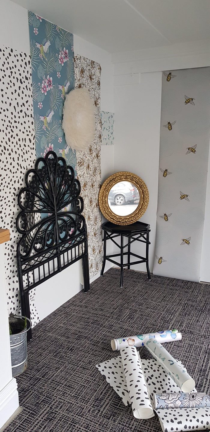 Dalmatian Spots Wallpaper - window display