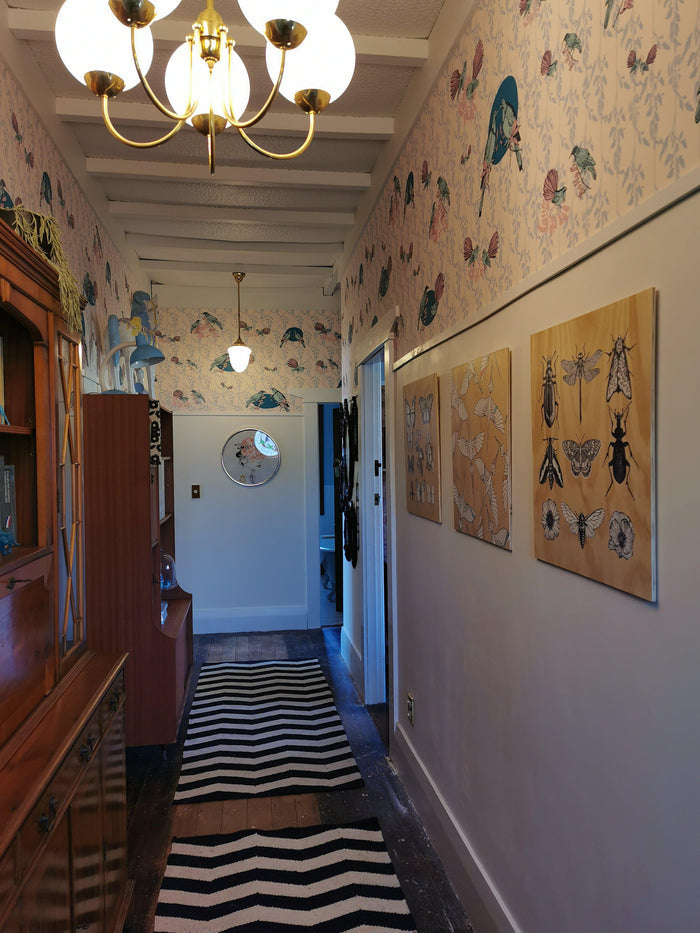 Erin's Birds - Custom Mural Wallpaper NZ-Wallpaper