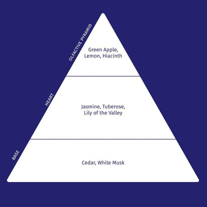 Shop Rescue Spa Extreme Caviar hair masque olfactive pyramid showing top, heart, and base fragrance notes