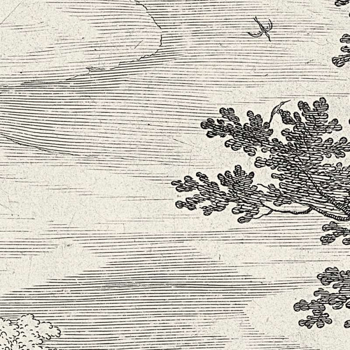 Fancy Forest  - Plain Fancy Forest - Custom Sized  (per m2)