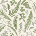 Fern Wallpaper - Custom Sized Wallpaper Mural (per m2)