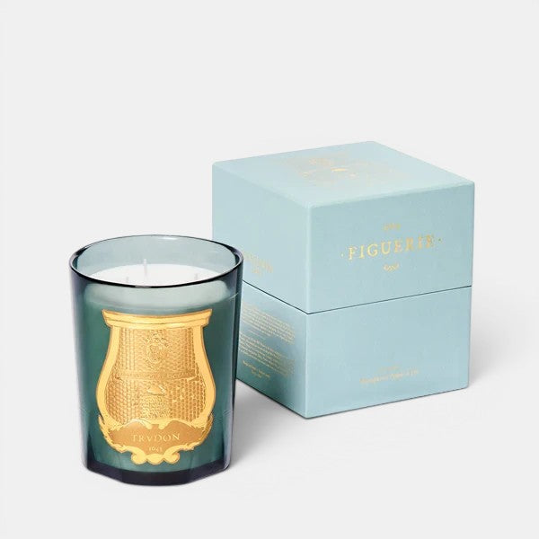 Shop Rescue Spa Figuerie Collection candle in a green glass vessel with gold label, next to a light blue box.